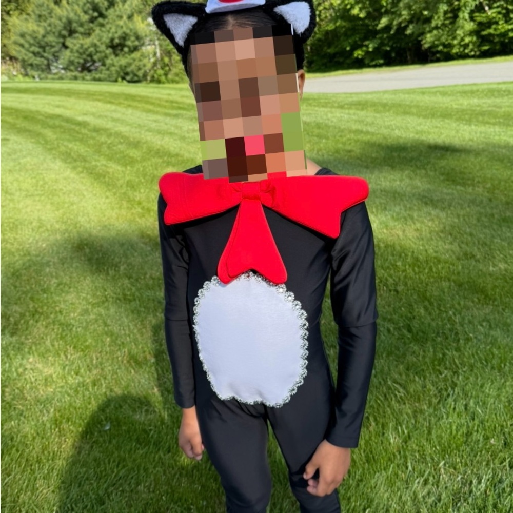 Cat in the Hat Kids Costume - Black and Red